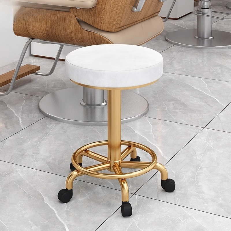 モダンでシンプルなビューティースツールプロフェッショナルスイ - Beauty Makeup Chair のレビューと価格