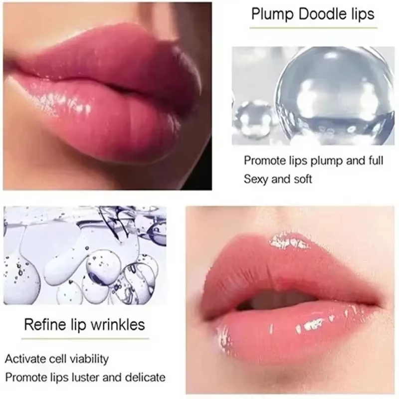 インスタントボリュームアップリッププランパーオイルリップエン - Lip Gloss Plumping のレビューと価格