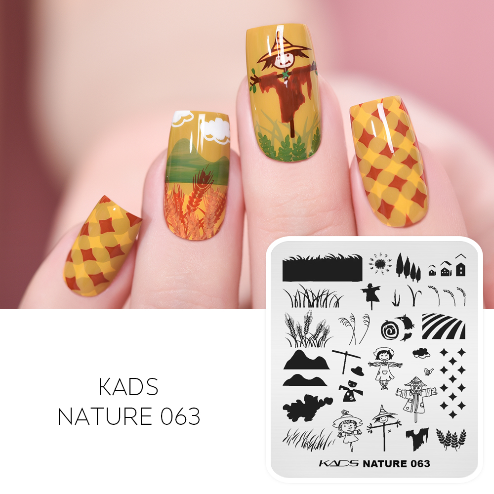 印刷されたグラフィックプレート,夏のデザイン,花,中国,幾何 - Nail Art Stamping Kit のレビューと価格